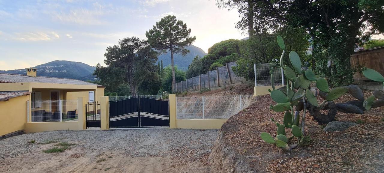 Agreable Rez De Jardin Avec Piscine Et Jacuzzi Cervione Exterior foto